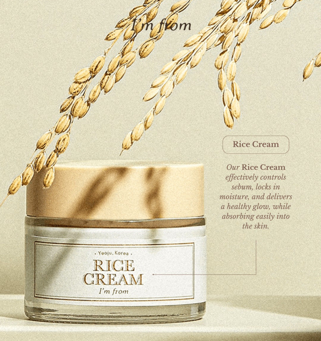 Rice Cream i’m from